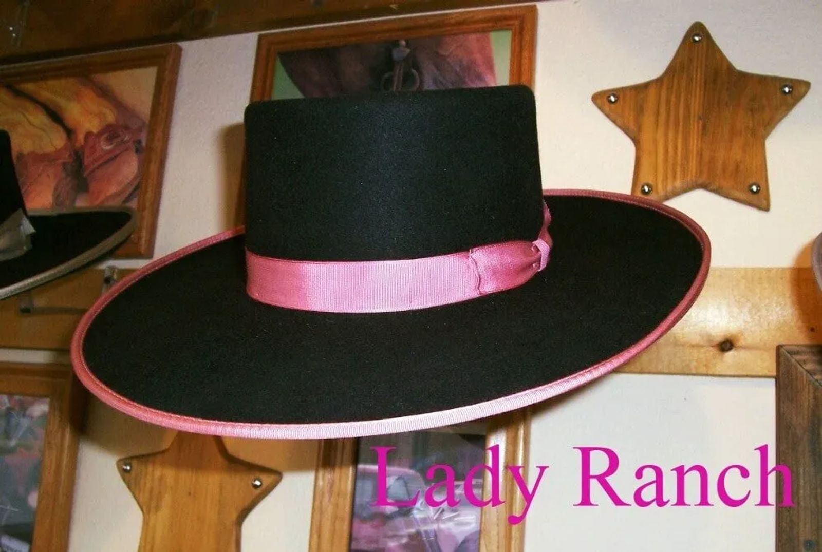 Lady Rach Lady Ranch