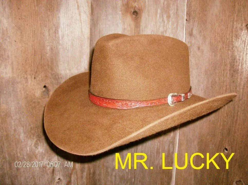 Mr. Lucky